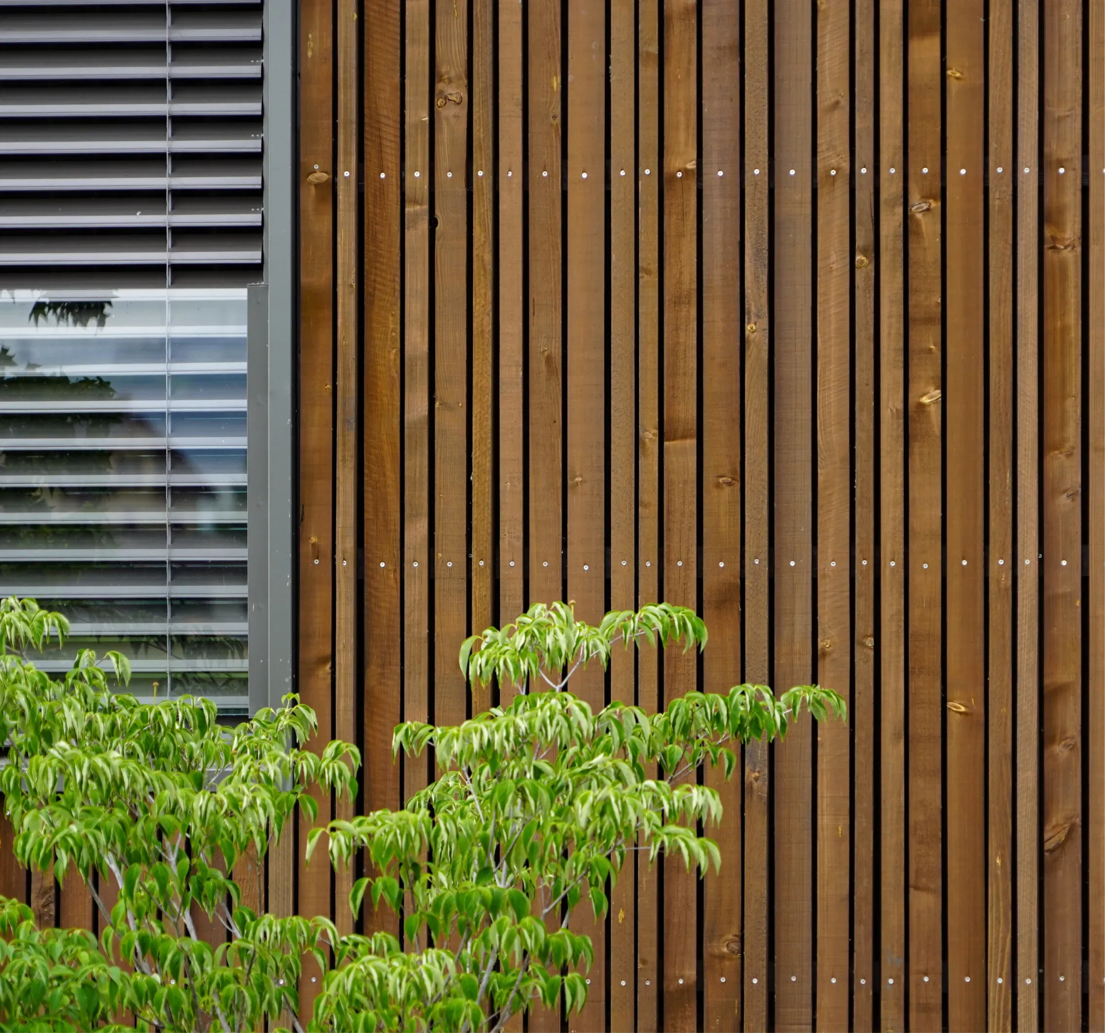 fecker-holzbau-ag-fassaden